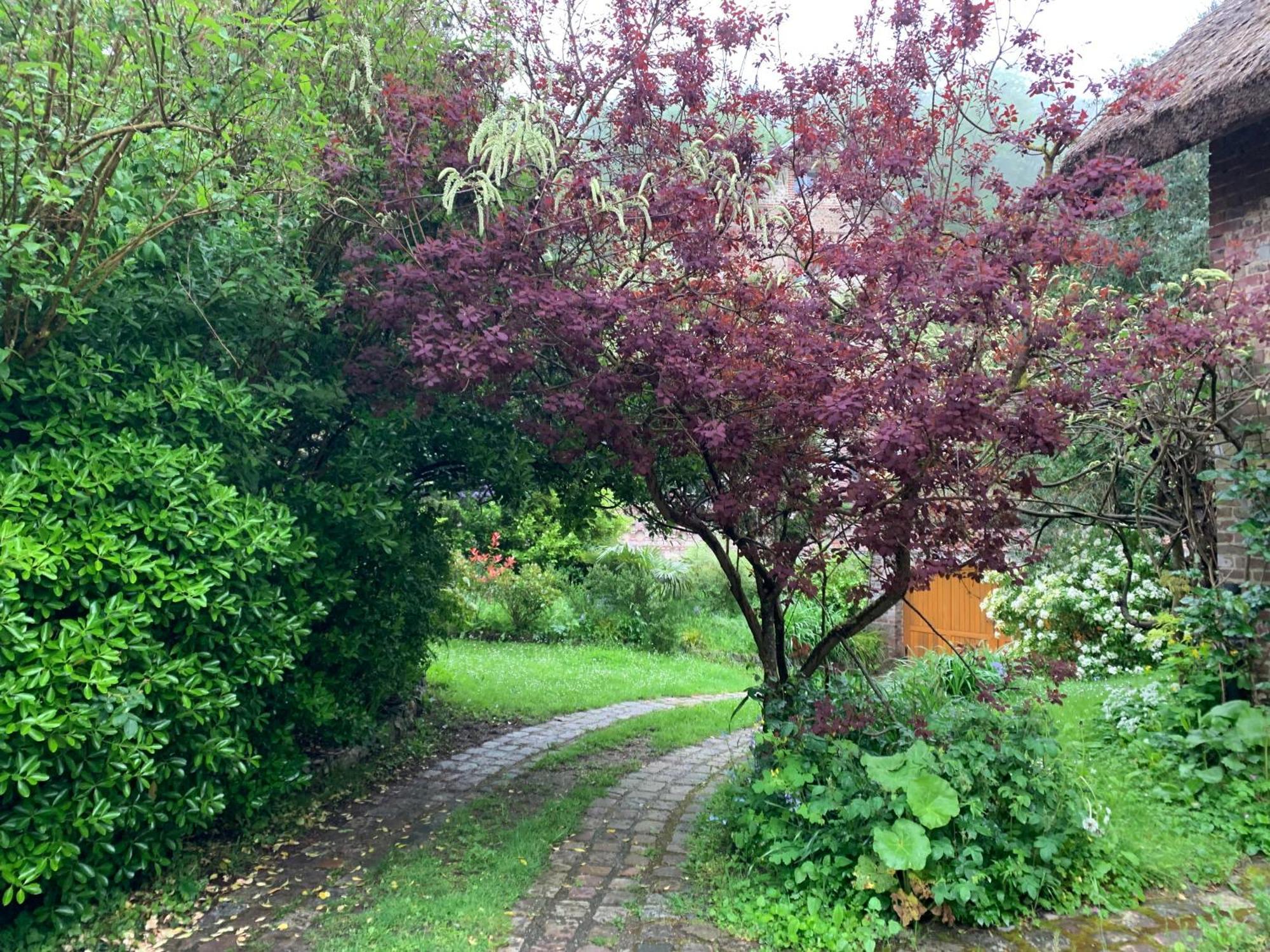 La Villa Flore Saint-Jouin-Bruneval ภายนอก รูปภาพ